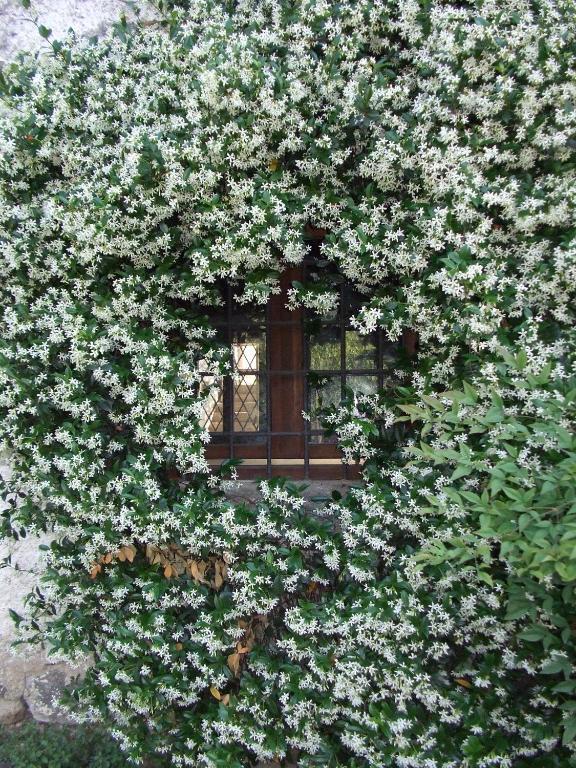 Agriturismo Cascina Rossano Provaglio d'Iseo Exteriör bild