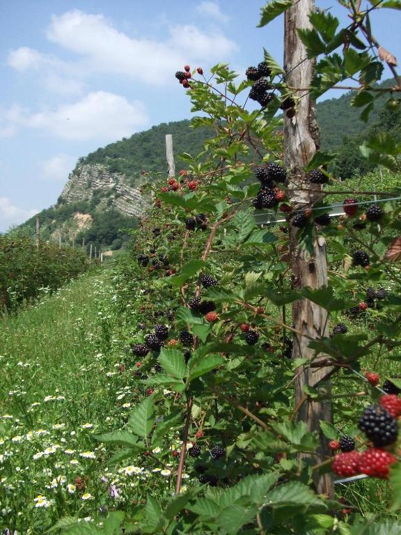 Agriturismo Cascina Rossano Provaglio d'Iseo Exteriör bild