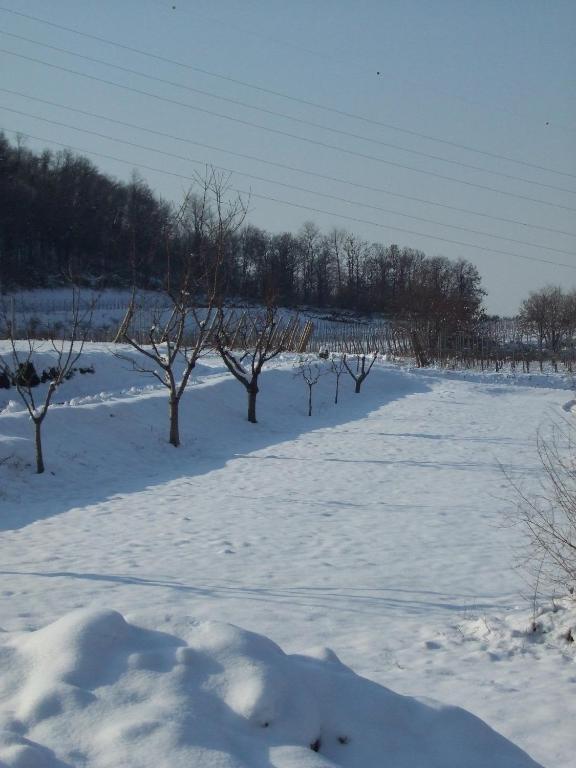 Agriturismo Cascina Rossano Provaglio d'Iseo Exteriör bild
