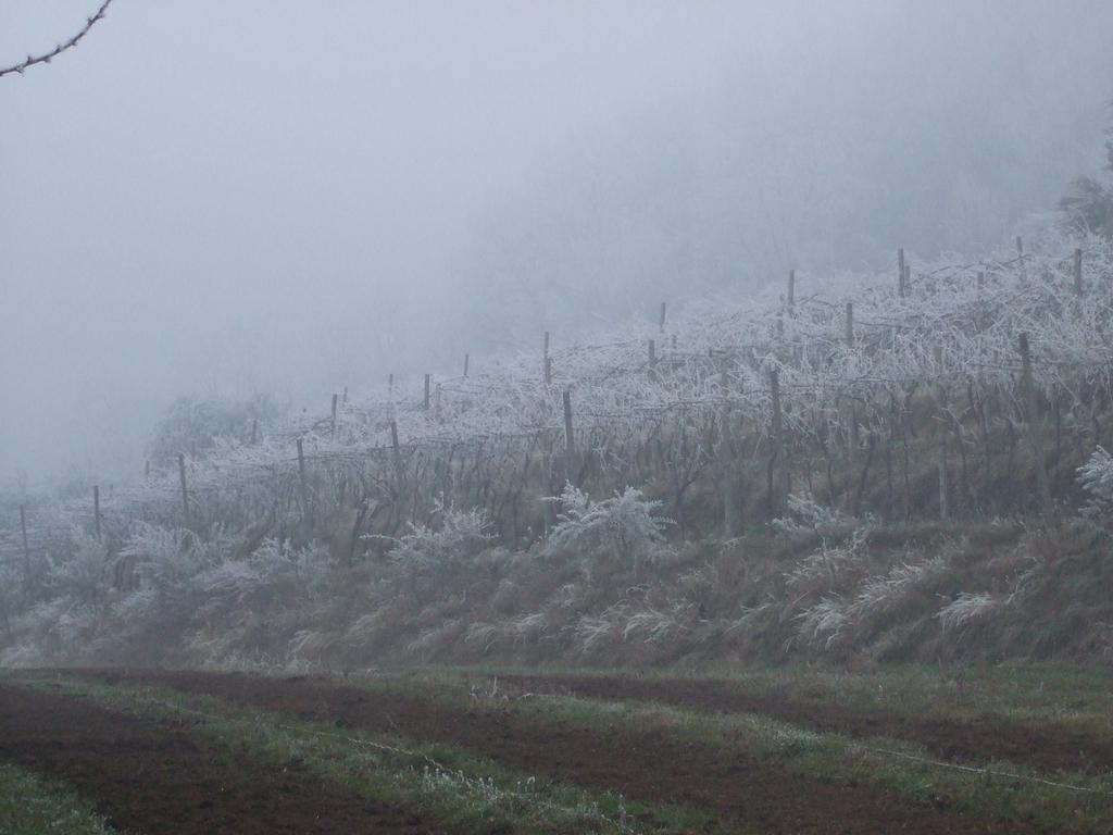 Agriturismo Cascina Rossano Provaglio d'Iseo Exteriör bild